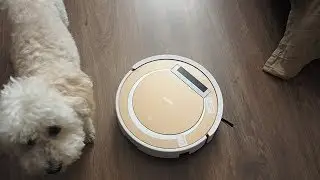 Отзыв о работе робота пылесоса ILIFE V55