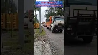 lagu kuda laka loli #viral #shortsvideo #trending #lagutimor