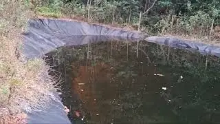 MOSTRANDO OS MEUS TANQUES