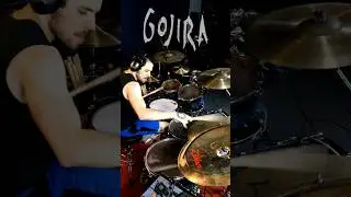 Outstanding drum parts part 32 : Gojira - Born for one thing