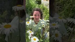 КОГДА ПРИНЯЛА В СЕБЕ МЕРКАНТИЛЬНОСТЬ.