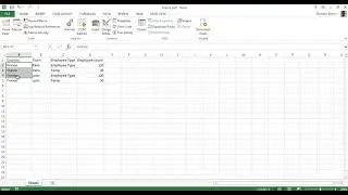 105 Loop through data - VBA in Excel