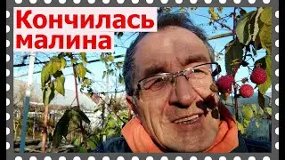 Доброе утро 17 ноября невзирая на...