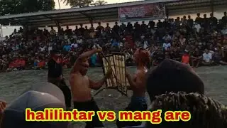 halilintar vs mang are ||peresean Lingsar