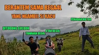 TERHARU R1BUT
