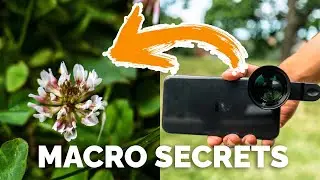 The Secret to ORGANIC Macro Photos on Your iPhone - Sandmarc Macro 100mm