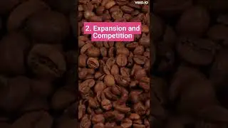 Why Starbucks Couldn't Win Australia  A Coffee Culture Clash 