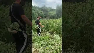 Зкошую малину полану
