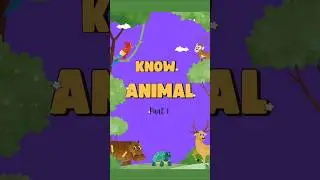 Amazing Animals for Kids! 🐘 | Know the Animals Pt. 1