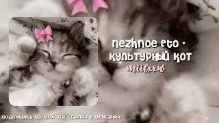 Nezhnoe Eto - Культурный кот
