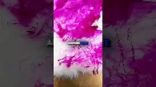 He tested the carpet😨