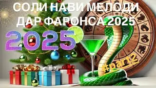 СОЛИ НАВӢ МЕЛОДӢ ДАР ФАРОНСА 2025  #part2 #tjk #fr #travel #tourist #europe 🇹🇯🇫🇷سال نو در فرانسه