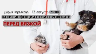 Какие инфекции стоит проверить перед вязкой