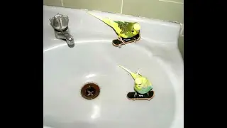 what would a skate video look like if nobody could do any tricks