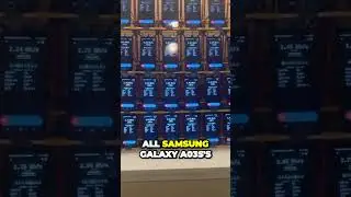 Verus Phone Farm