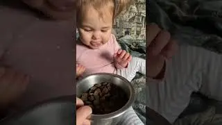И каждый раз война за этот корм 😂