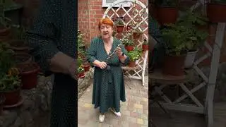 С праздником ❤️❤️❤️