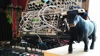 Mr Robespierre  - live Elektron
