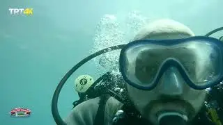 KÜLTÜR TEKNESİ - KABAK