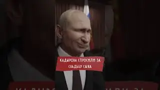 Путин узнал про свадьбу Кадырова младшего!