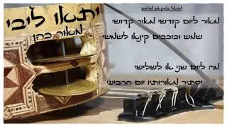 מוואל (אמפרוביזציה) במקאם מזמום -מאור כהן