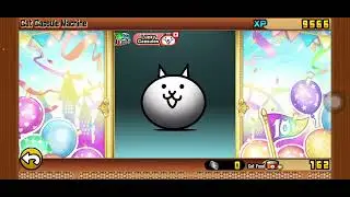 Using all my rare cat tickets!!!(