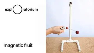 Magnetic Fruit - Science Snack Activity