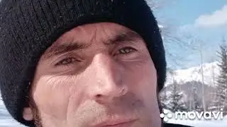 паход в лес немного пашол непоплану