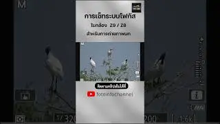 การเซ็ทค่ากล้องโดยใช้ Hybrid AF ใน Nikon Z8, Z9 ช่วยในการถ่ายภาพนก #nikonz8 #nikonz9