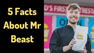 5 Fun Facts about Mr Beast 