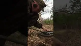 Поиск чешуи с металлоискателем xp deus 