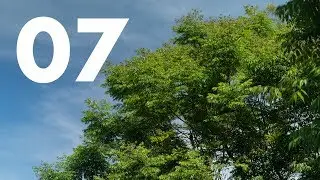 A Time Lapse A Day - 07 - May 02, 2019 (4K)