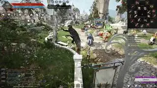 ЗАТОЧКА ПОЯСА ДРЕВА НА IV | BLACK DESERT ONLINE | BDO | БДО |