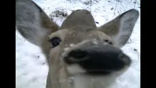 second-perfect timing