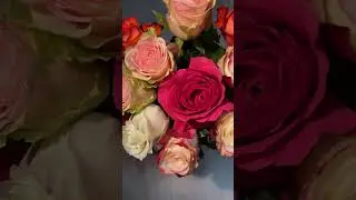 Девочки мои🥰 Поздравляю всех вас с 8 марта💐Желаю исполнения всех ваших заветных желаний💝 #8марта
