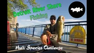 Detroit River Shore Fishing | Multi Species Challenge
