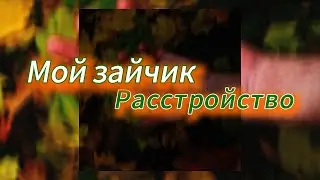 Мой зайчик - расстройство (текст песни)