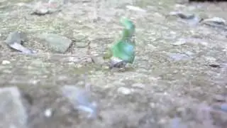 Formiga trabalhando