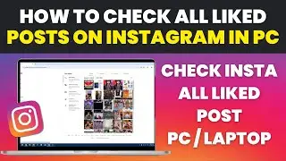 How to See Liked Posts on Instagram PC