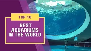 Top 10 best aquariums in the world