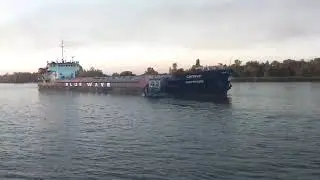 Телоход