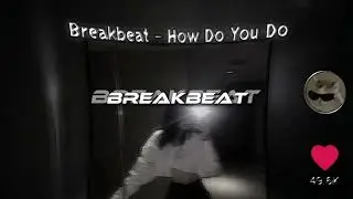 BREAKBEAT - HOW DO YOU DO, ( REVERB )