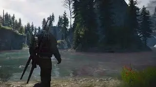 The Witcher 3: Wild Hunt - Complete Edition PS5 Visual bug