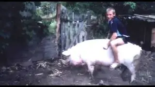 ЭРОН ДОН ДОН В ДЕРЕВНЕ