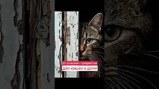 10 опасных предметов для кошек в доме