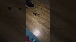 #машинки