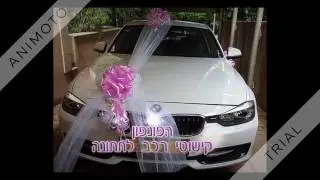 לימוד קישוטי מכוניות לחתונות