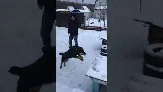 Выполнение команд 🔥🔥 command execution🔥🔥 @Sobaka_Bobka