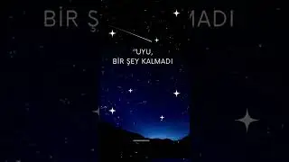 Uyu, bir şey kalmadı geriye... #gece  #shorts  #short