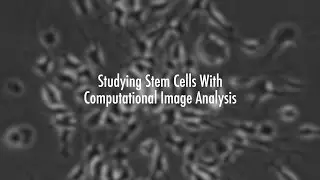 Studying Stem Cells With Computational Image Analysis